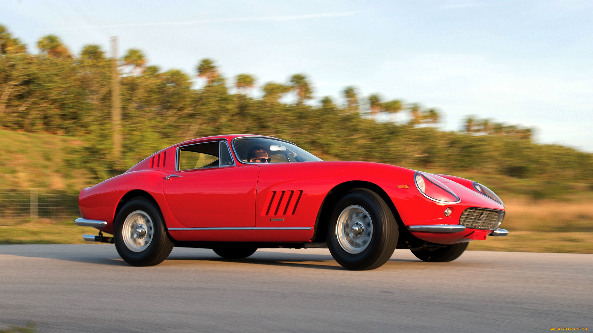 ferrari, 275, , , 